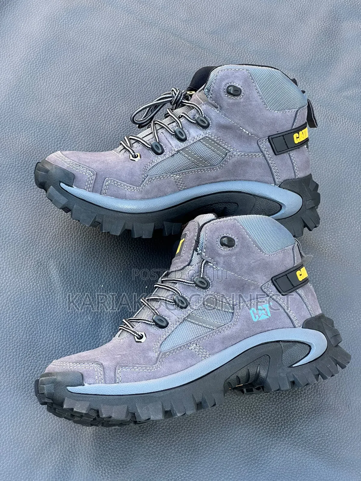 Bigboss Mixed Colors Cat Boots