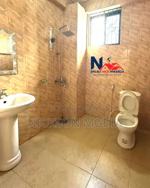 Furnished 1bdrm Apartment in Dalali Nick Mwanza, Isamilo for rent