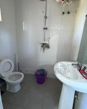 Furnished 2bdrm Apartment in Dalali Nick Mwanza, Kiseke for rent