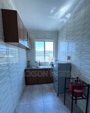 Furnished 2bdrm Apartment in Dalali Nick Mwanza, Kiseke for rent