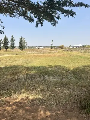 Area for Sale