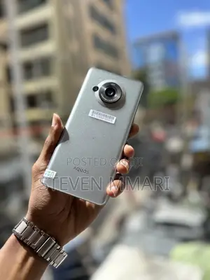 Sharp Aquos R7 256 GB Silver