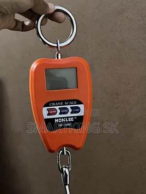 Digital Hanging Scale 200KG