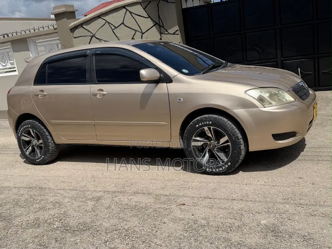 Toyota Corolla RunX 2004 Gold