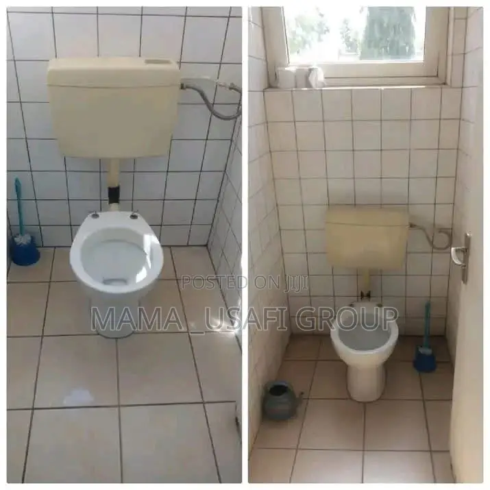 Cleaning and Fumigation