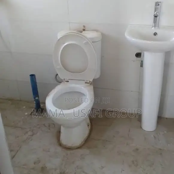 Cleaning and Fumigation
