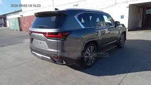 New Lexus LX 500d 2026 Gray