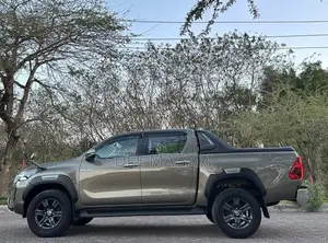 Toyota Hilux 2023 Brown