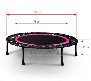 Mini Trampoline