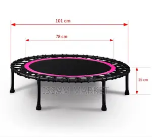 Mini Trampoline