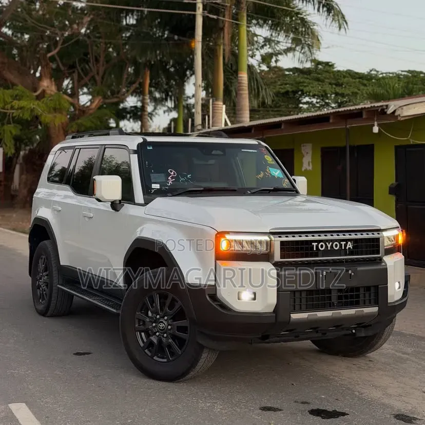 Toyota Land Cruiser Prado 2024 Purple