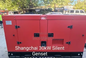 Shangchai 30kw Diesel Generator 