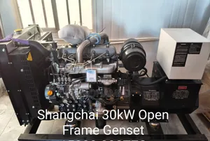 Shangchai 30kw Diesel Generator 