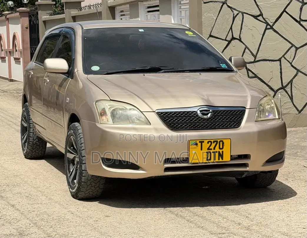 Toyota Corolla RunX 2006 Gold