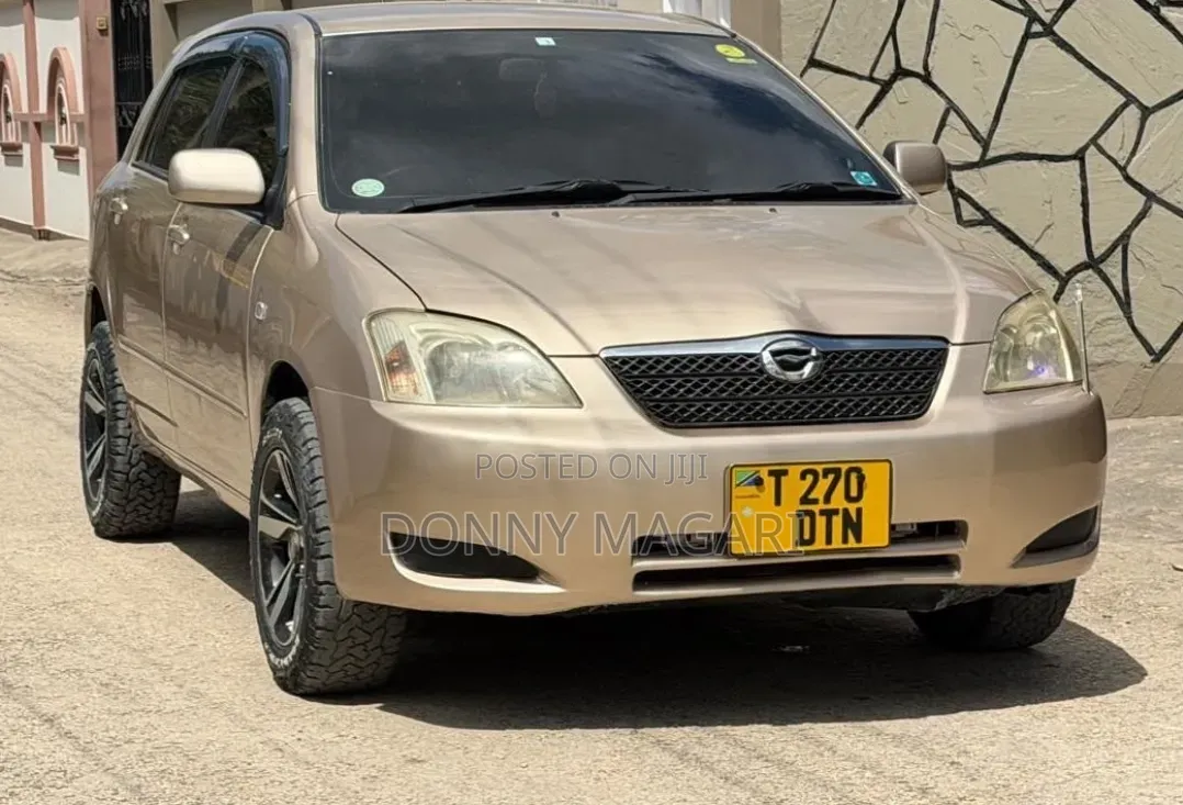 Toyota Corolla RunX 2006 Gold