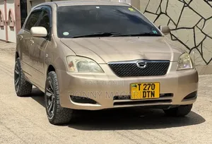 Toyota Corolla RunX 2006 Gold
