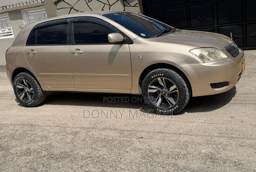Toyota Corolla RunX 2006 Gold