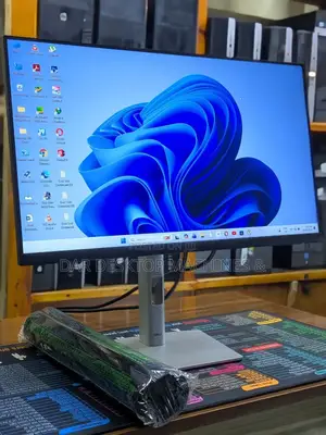 Dell Professional Monitor ( 24 Inch ) P2422h
