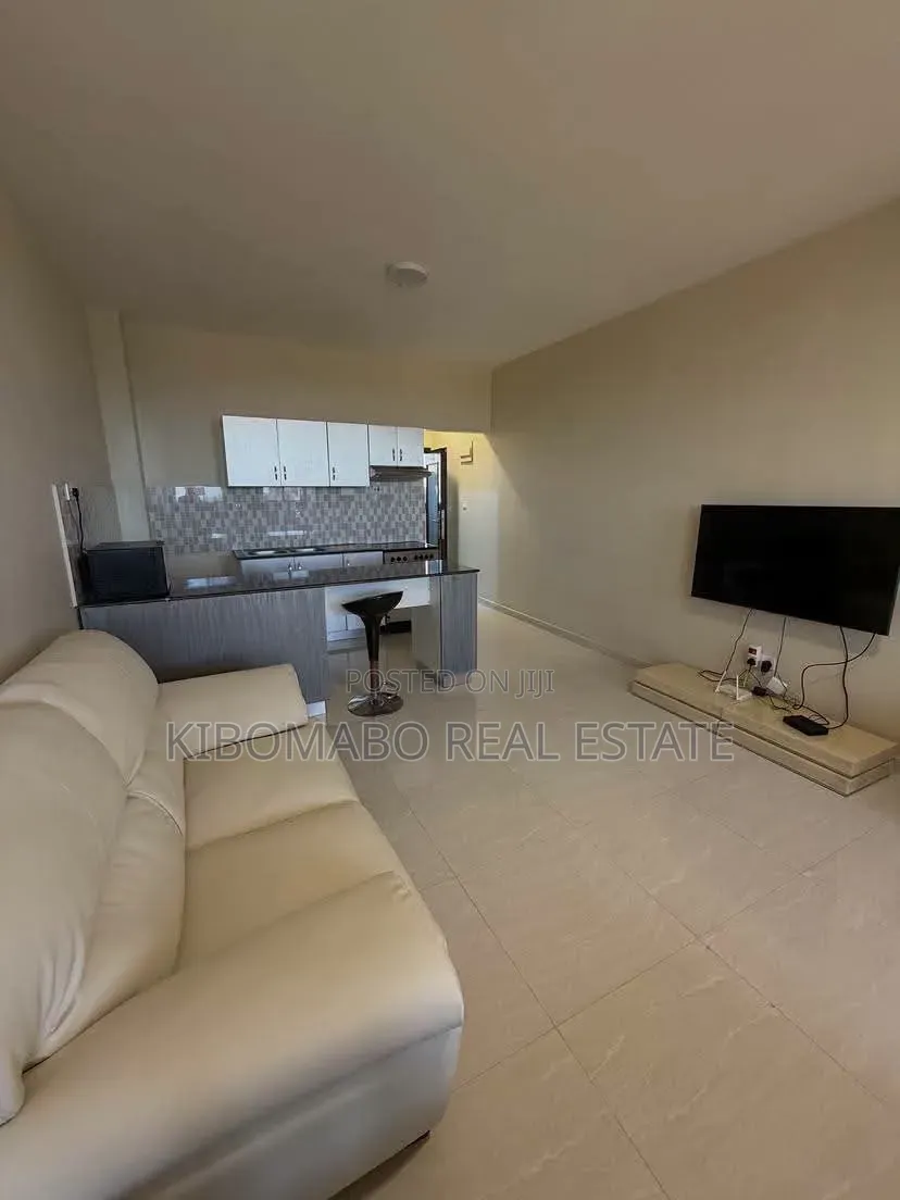 Furnished 1bdrm Apartment in Masaki for rent