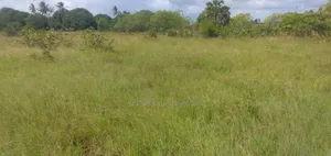 Shamba 80km From DSM