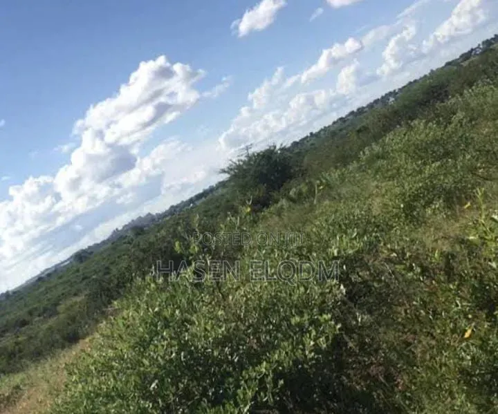 Shamba 80km From DSM