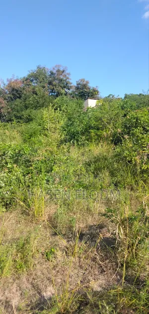 Surveyed Farm Land 60km From DSM City Center
