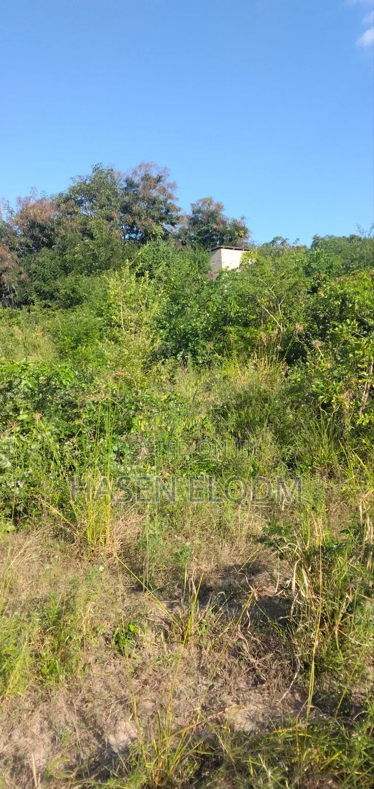 Surveyed Farm Land 60km From DSM City Center
