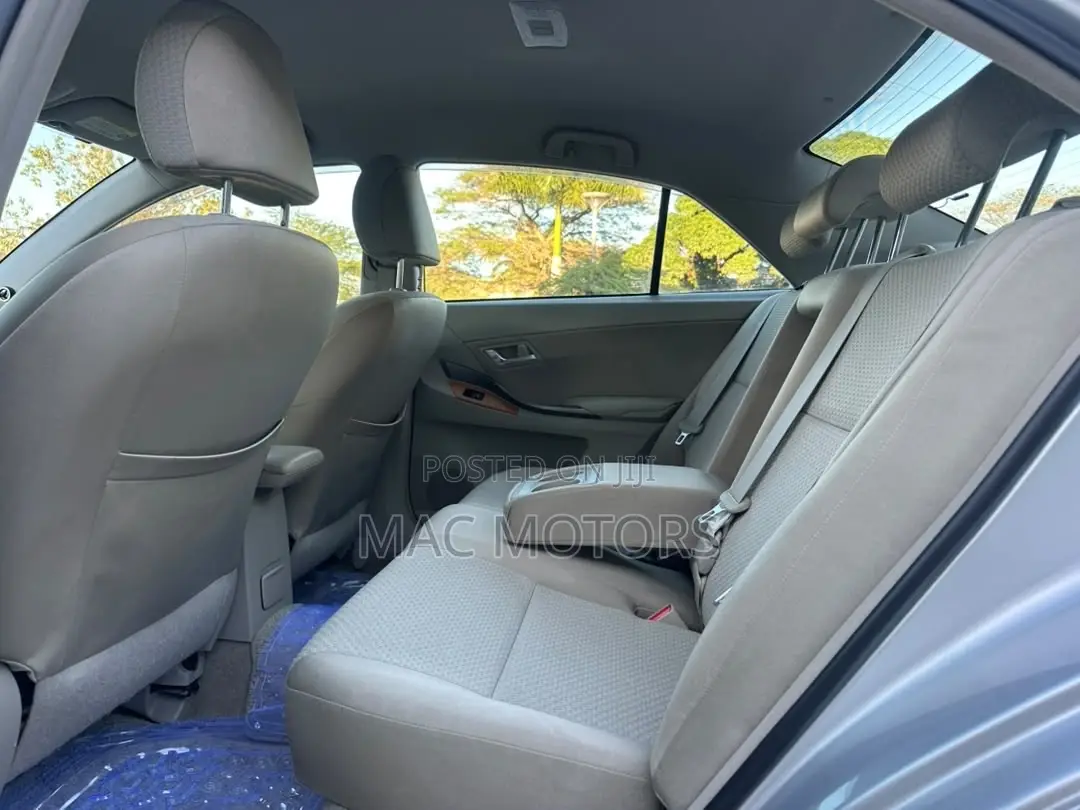 Toyota Premio 2009 Silver