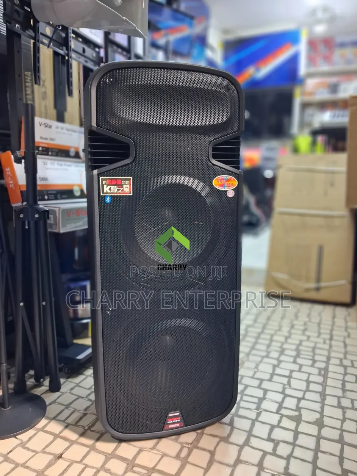 TEMEISHENG Double Rechargeable Professional Speaker 3500W 2 Microphone