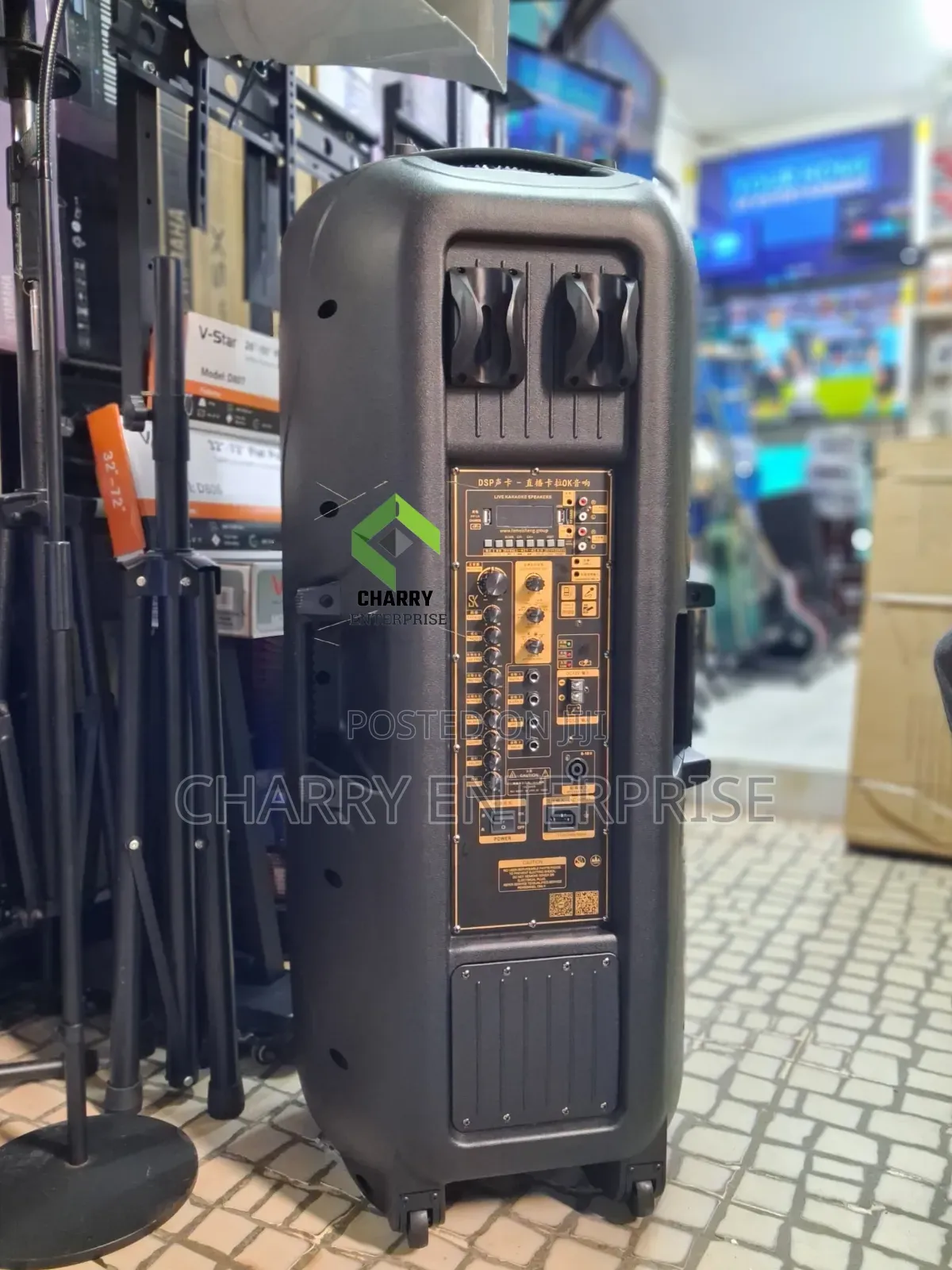 TEMEISHENG Double Rechargeable Professional Speaker 3500W 2 Microphone
