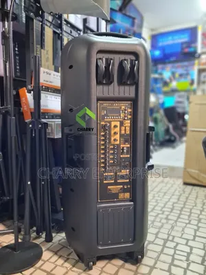 TEMEISHENG Double Rechargeable Professional Speaker 3500W 2 Microphone