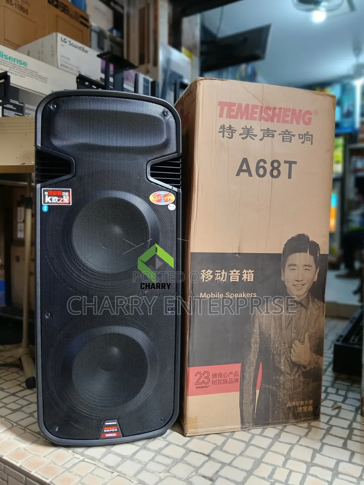 TEMEISHENG Double Rechargeable Professional Speaker 3500W 2 Microphone