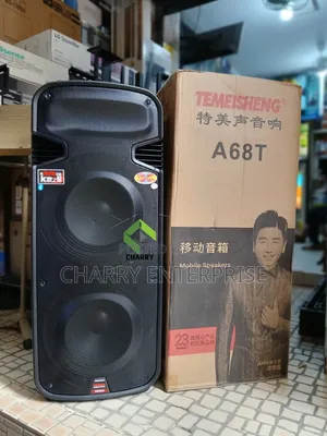 TEMEISHENG Double Rechargeable Professional Speaker 3500W 2 Microphone