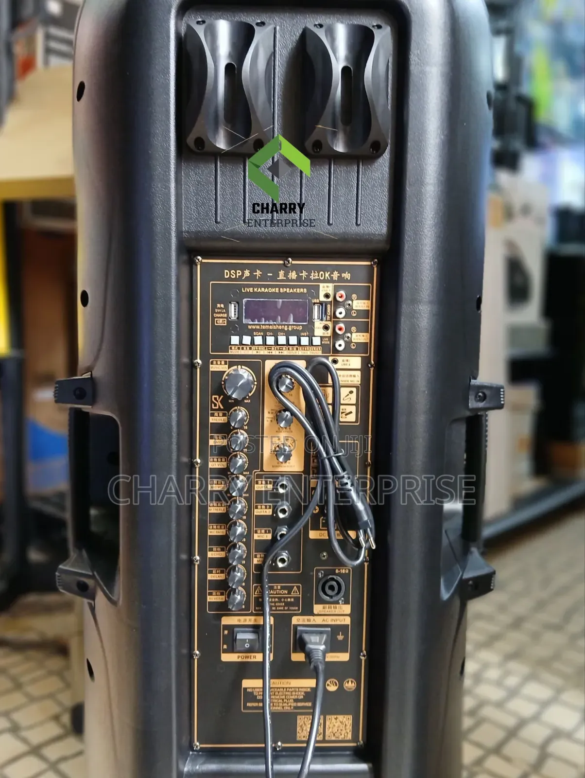 TEMEISHENG Double Rechargeable Professional Speaker 3500W 2 Microphone