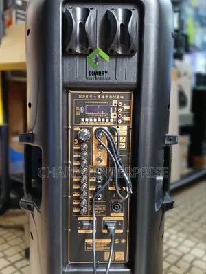 TEMEISHENG Double Rechargeable Professional Speaker 3500W 2 Microphone