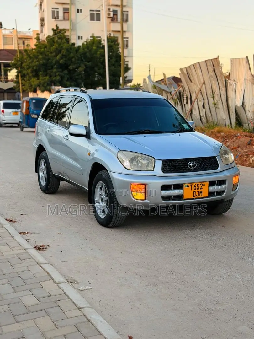 Toyota RAV4 2005 Silver