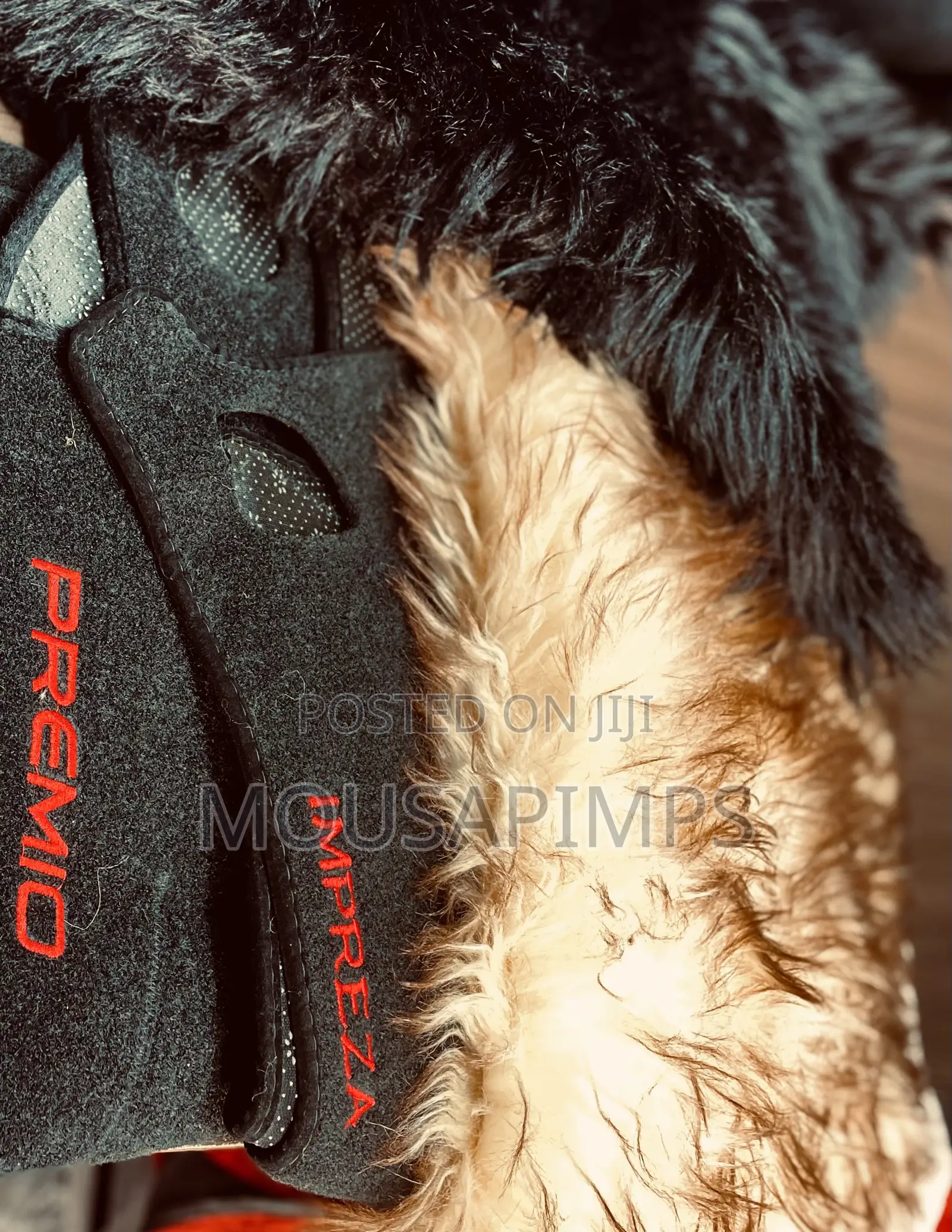 Dash Covers