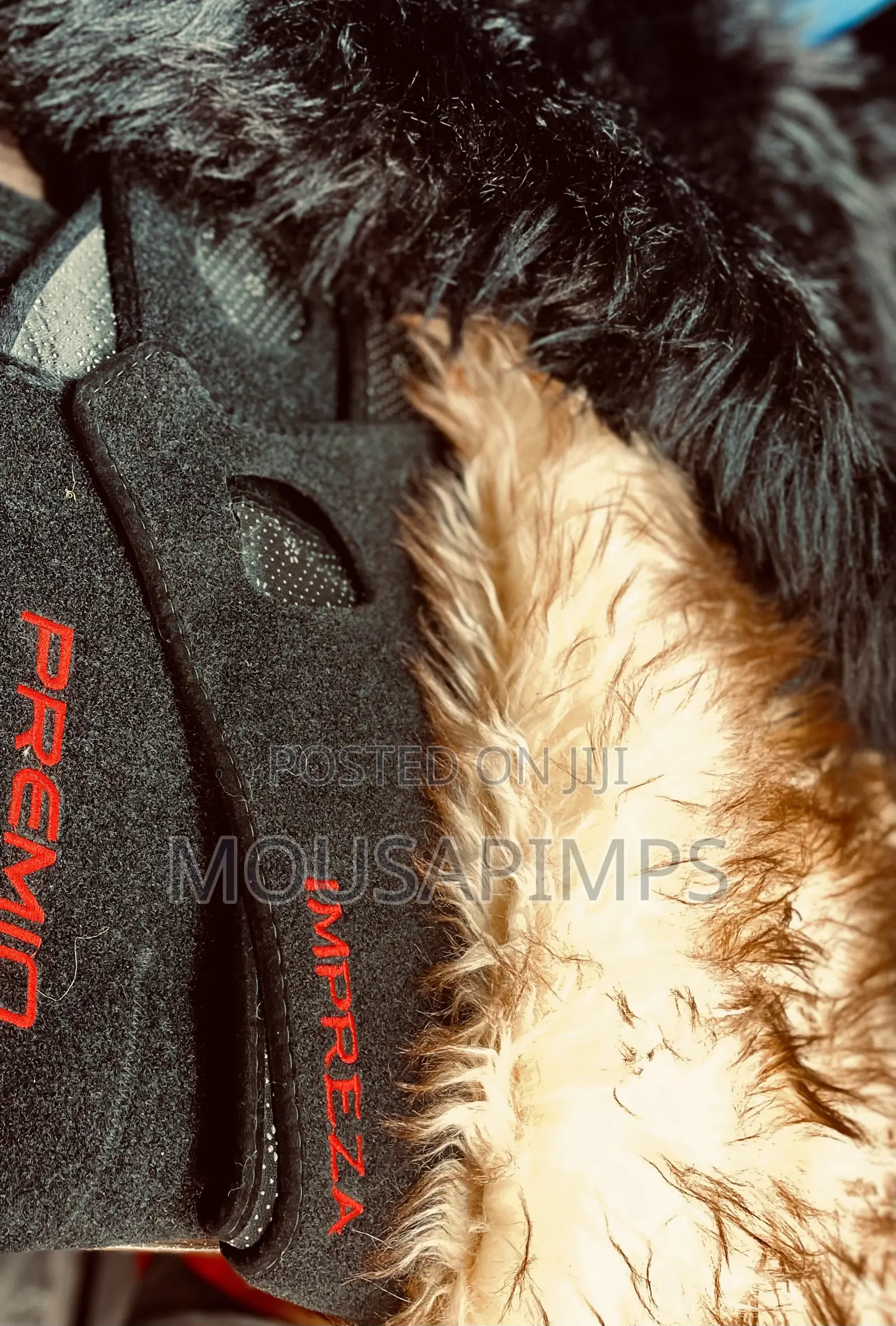 Dash Covers