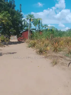 SQMTS 1907 Kiwanja Kinauzwa, Mapinga, Bagamoyo