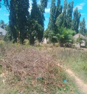 Kiwanja Kinauzwa, Bunju