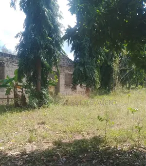 Kiwanja Kinauzwa, Bunju