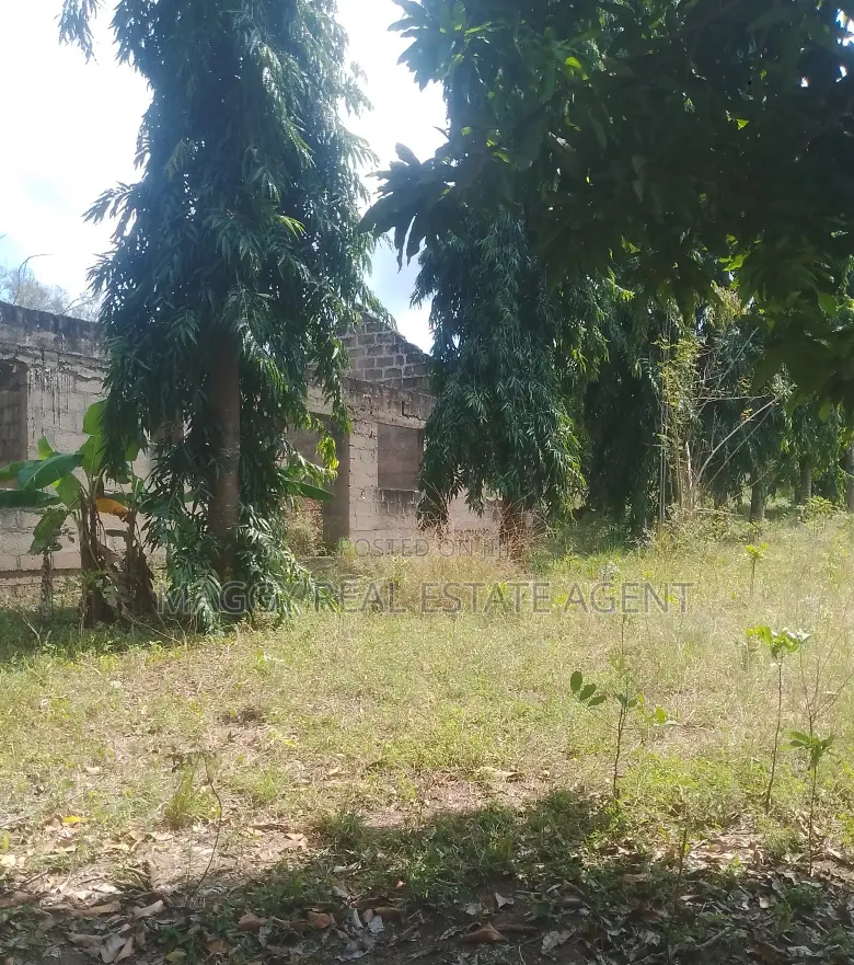 Kiwanja Kinauzwa, Bunju