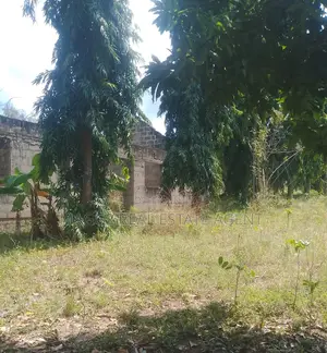 Kiwanja Kinauzwa, Bunju