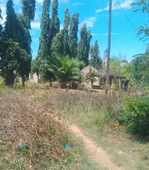 Kiwanja Kinauzwa, Bunju