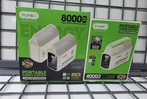 Punex Powerbank 80000mAh