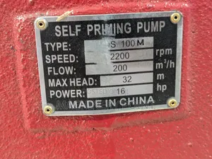 NS 100 Water Pump