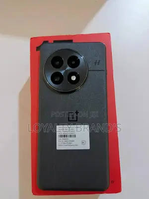 New OnePlus 13 256 GB