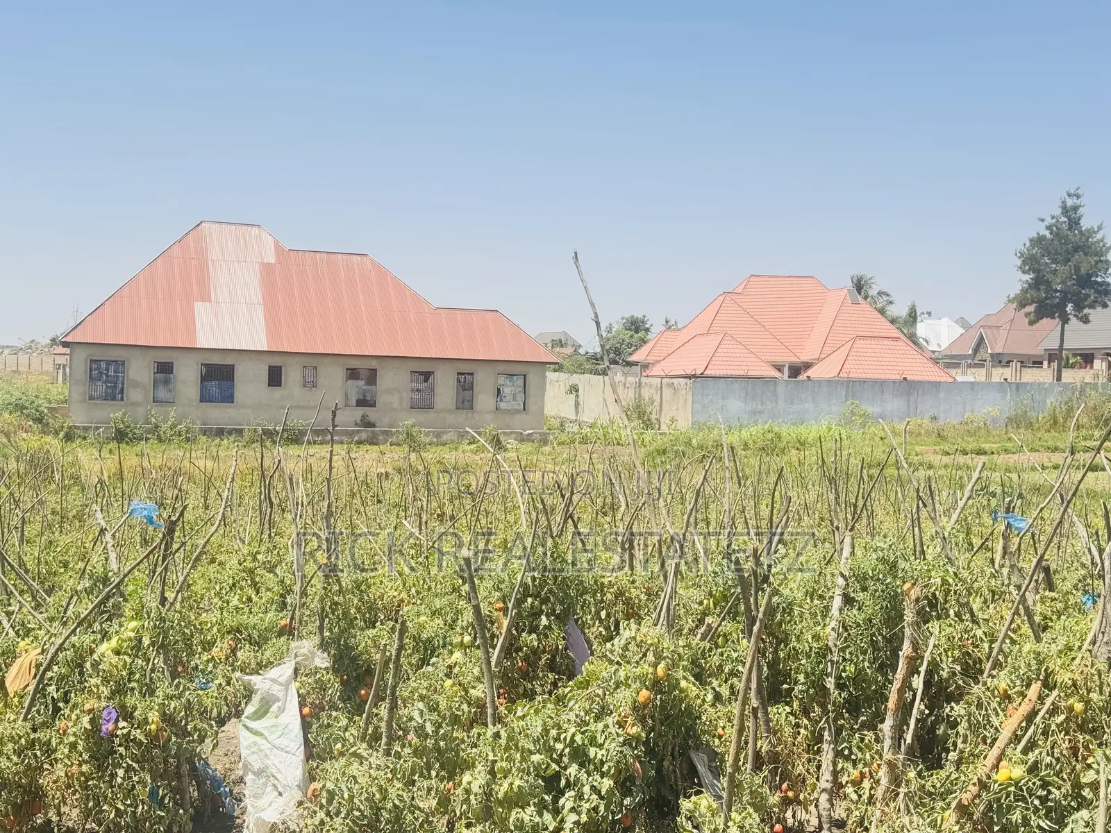 Kiwanja Cha SQM 1,104 Kinauzwa Buswelu Wilayani