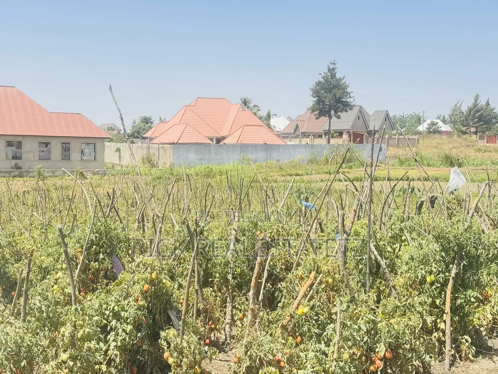 Kiwanja Cha SQM 1,104 Kinauzwa Buswelu Wilayani