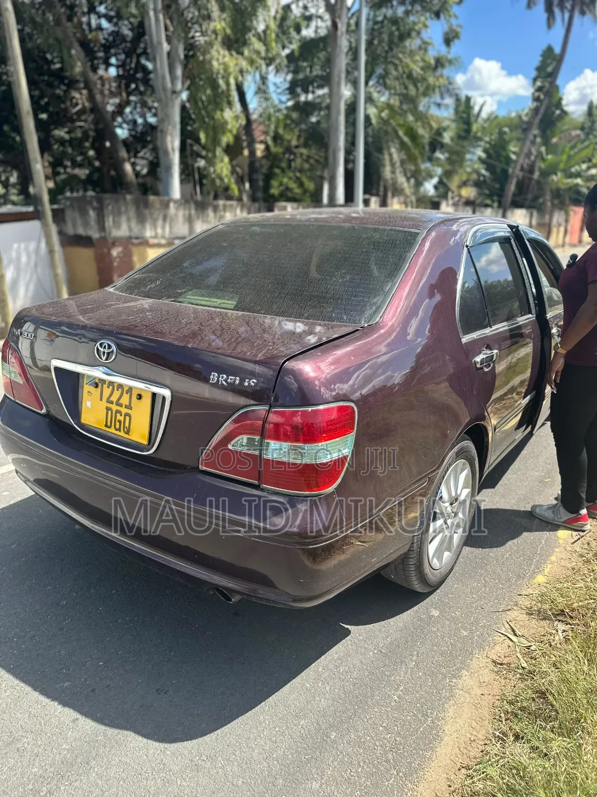 Toyota Brevis 2005 Brown